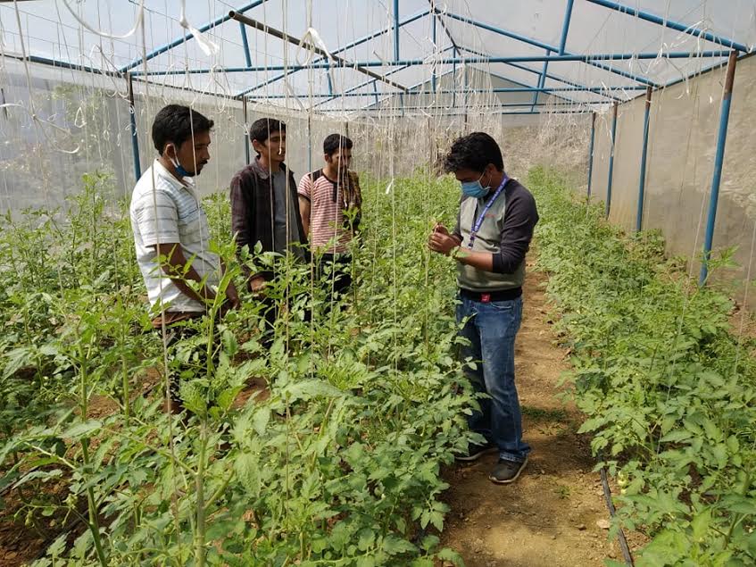 लकडाउनमा कृषिकलाई सघाउँदै कृषि विकास कार्यालय