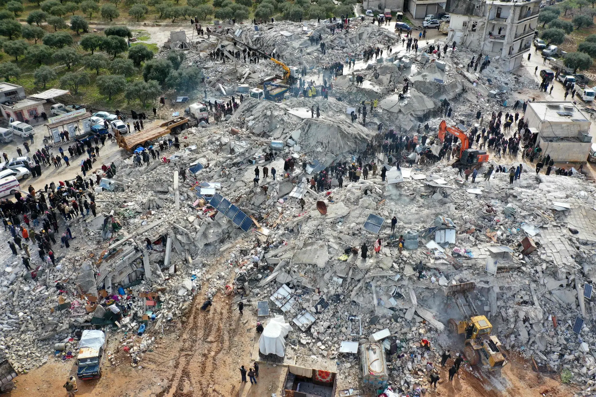 टर्कीमा धमाधम पक्रन थालियो भूकम्पले भत्किएका भवन बनाउने ठेकेदारलाई